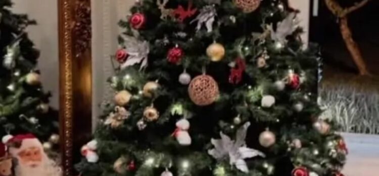 Simone Mendes reage à decoração de Natal de sua casa: ‘Parecendo um shopping’.