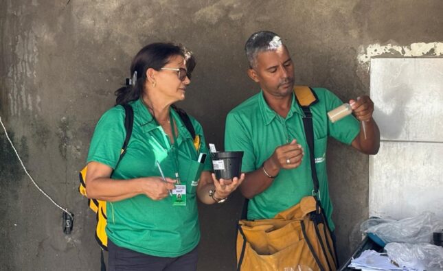 Feira de Santana registra avanço no combate ao Aedes aegypti