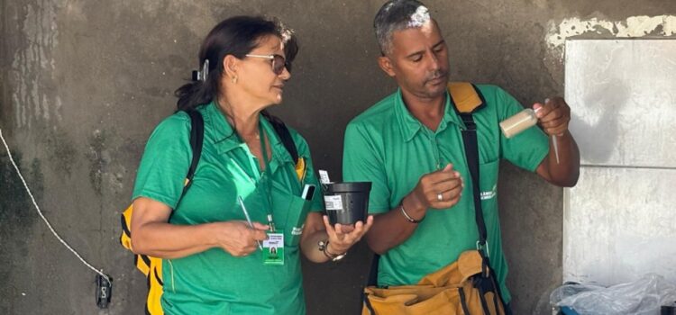 Feira de Santana registra avanço no combate ao Aedes aegypti
