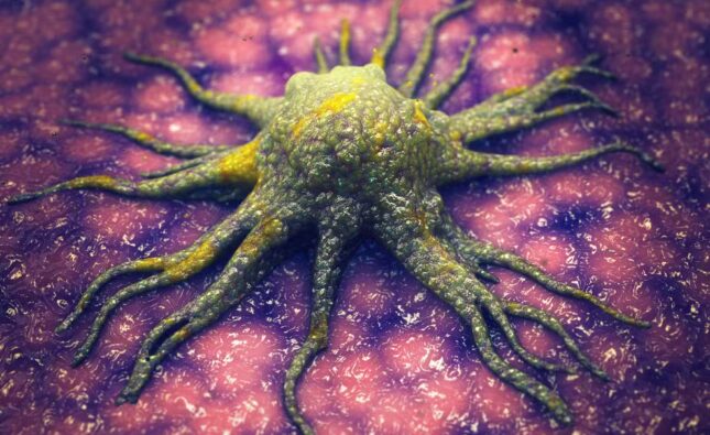 Cientistas descobrem molécula que ‘mata de fome’ células cancerígenas sem afetar tecidos saudáveis