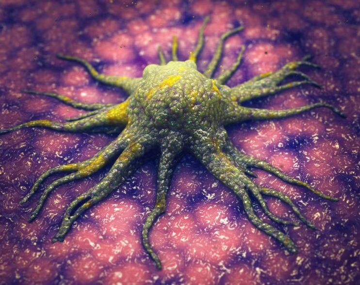 Cientistas descobrem molécula que ‘mata de fome’ células cancerígenas sem afetar tecidos saudáveis