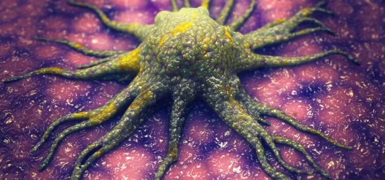 Cientistas descobrem molécula que ‘mata de fome’ células cancerígenas sem afetar tecidos saudáveis