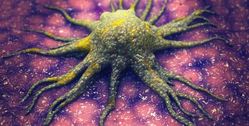 Cientistas descobrem molécula que ‘mata de fome’ células cancerígenas sem afetar tecidos saudáveis