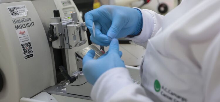 SUS anuncia nova terapia para adultos com leucemia mieloide; veja quem poderá receber